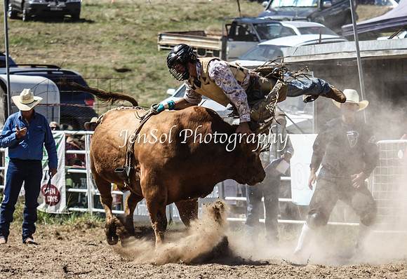 Bungendore2011_1113