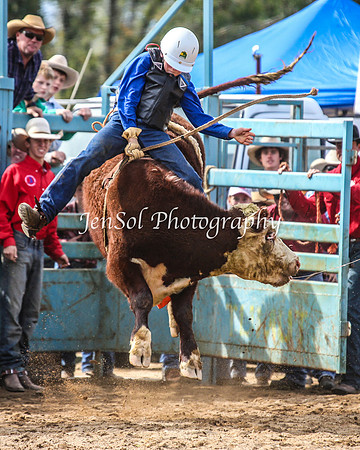 TumutRodeo2014_1088