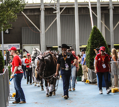 EquitanaThursSports_0027
