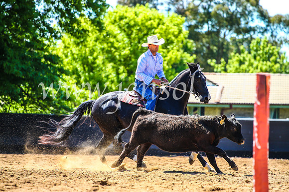 OrangeCampdraft2017_4504