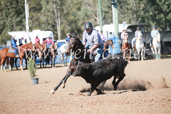 CCCampdraft2016_5993