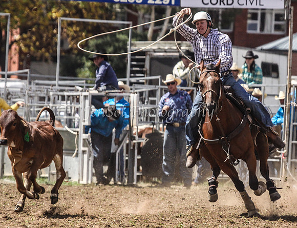 Queanbeyan1_0301