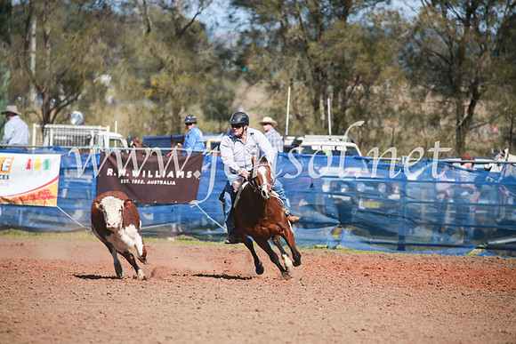 CCCampdraft2016_5845