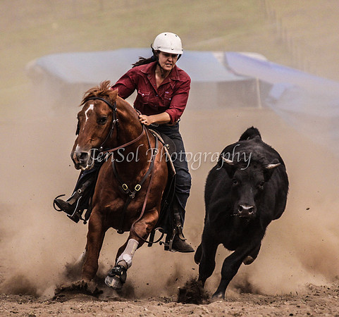 IMG_0689CabSat