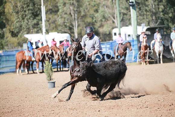 CCCampdraft2016_5991