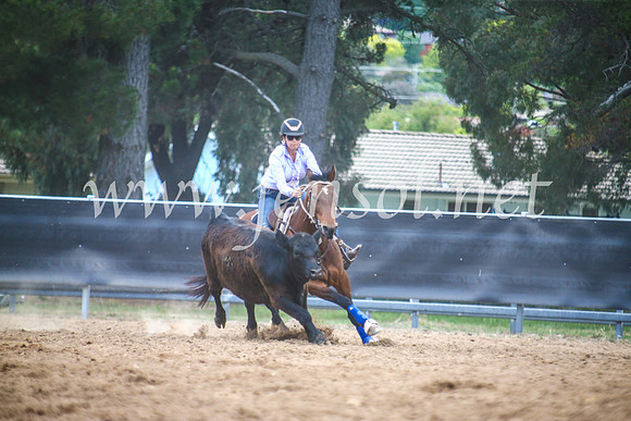 OrangeCampdraft2017_5381