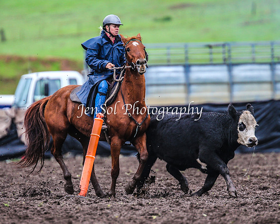 CabanandraCampdraft2014_1572