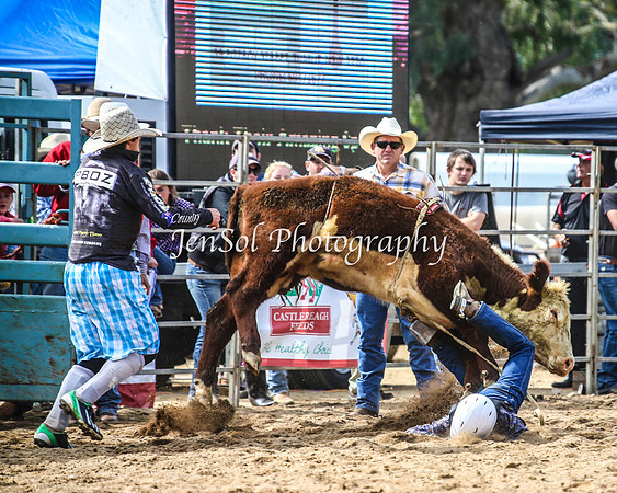 TumutRodeo2014_1150