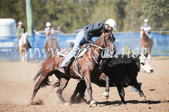 CCCampdraft2016_5634
