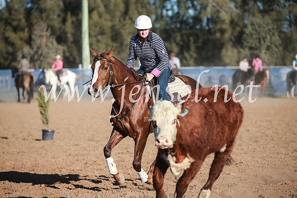 CCCampdraft2016_6653