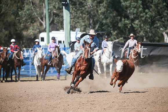 CCCampdraft2016_6029