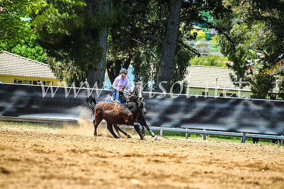 OrangeCampdraft2017_5009