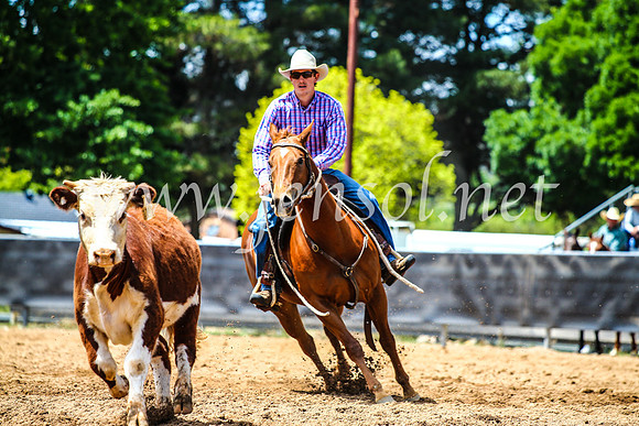 OrangeCampdraft2017_4841