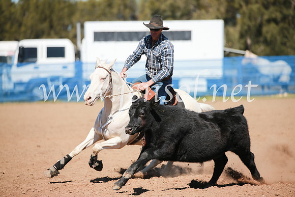 CCCampdraft2016_5900
