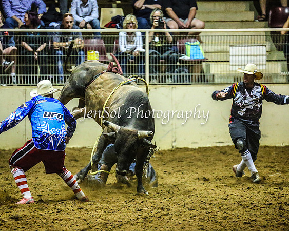 RealDealRodeoFeb2014_1658