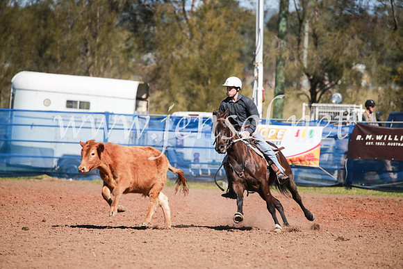 CCCampdraft2016_5880