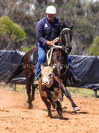 Wwyalong0490