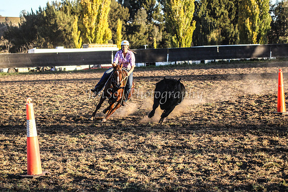 IMG_0313Jugiong2