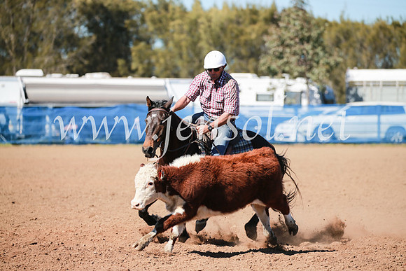 CCCampdraft2016_5561
