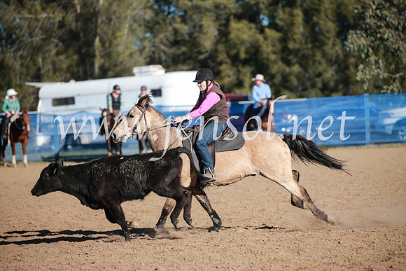 CCCampdraft2016_6499