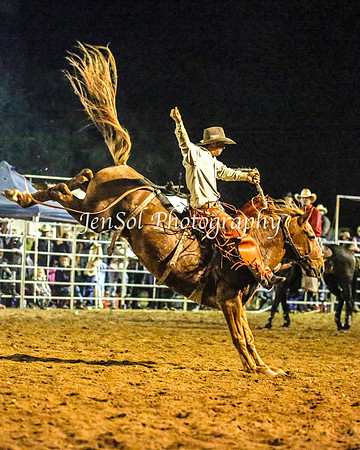 TumutRodeo2014_5484