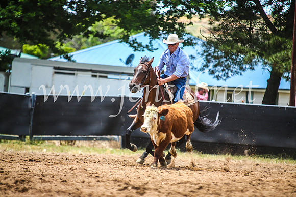 OrangeCampdraft2017_5169