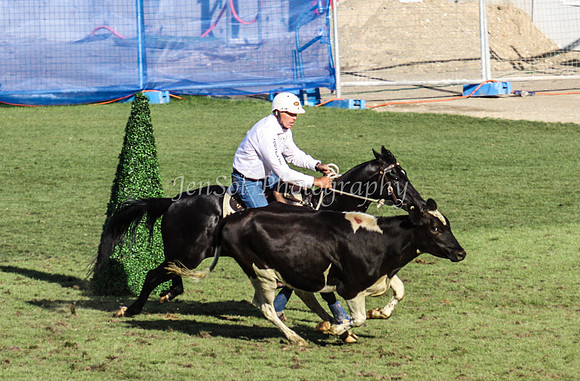 EquitanaSat_1079