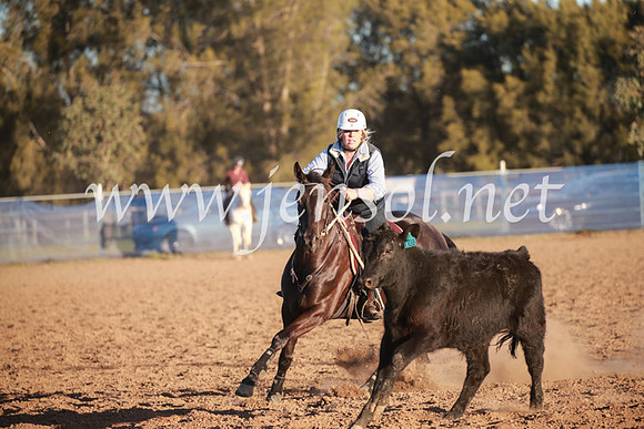 CCCampdraft2016_6914