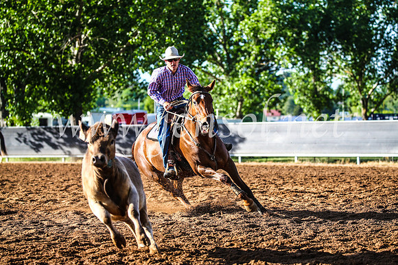 OrangeCampdraft2017_3758