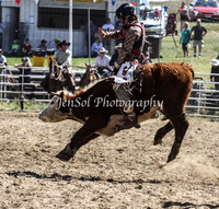 Bungendore2011_0235