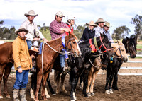 Tarcutta Campdraft 2009