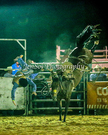ForbesRodeo2014_4040