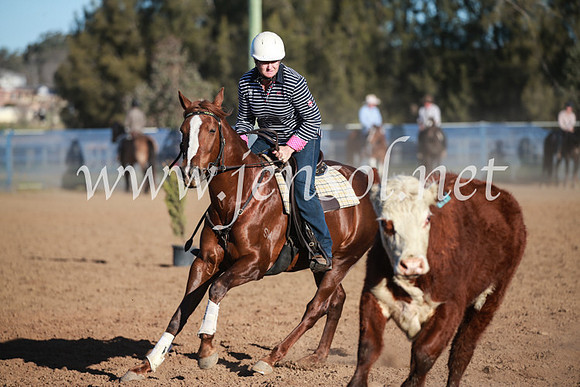 CCCampdraft2016_6652