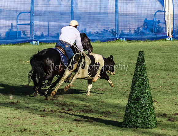 EquitanaSat_1122