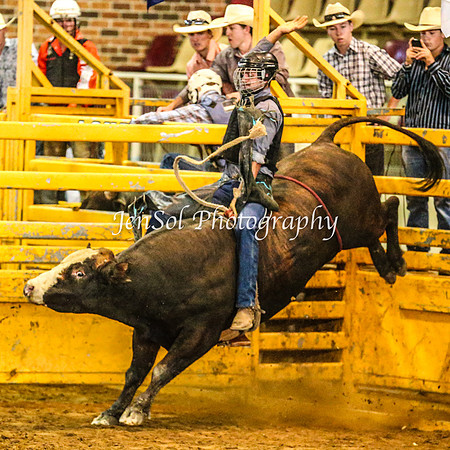 RealDealRodeoFeb2014_0502