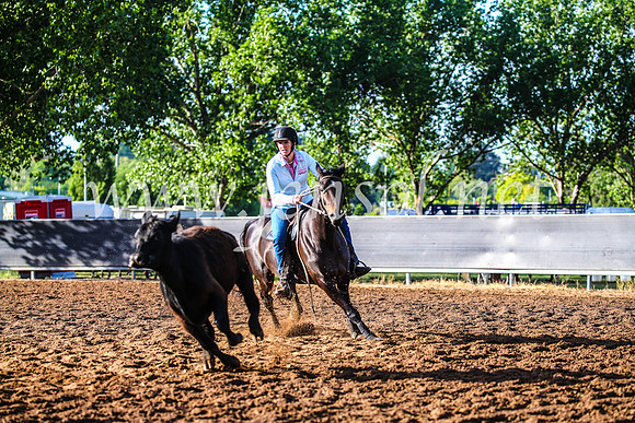 OrangeCampdraft2017_3756