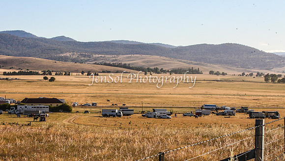 AdaminabyCampdraft2015_0004