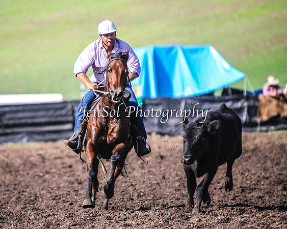 CabanandraCampdraft2014_1090