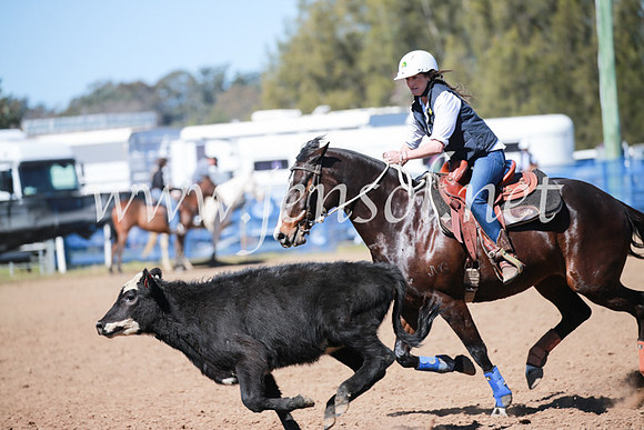 CCCampdraft2016_5856