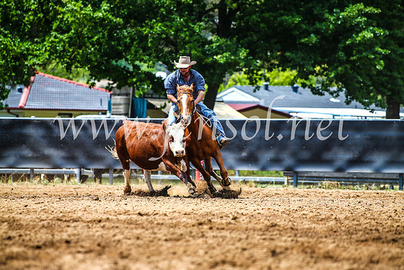 OrangeCampdraft2017_4732