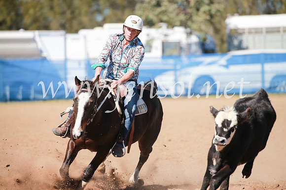 CCCampdraft2016_5641