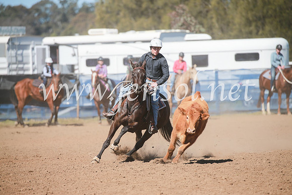 CCCampdraft2016_5885