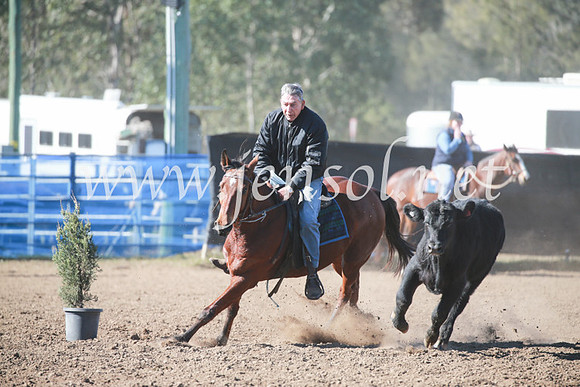 CCCampdraft2016_5281