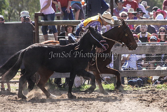 Corryong09 243