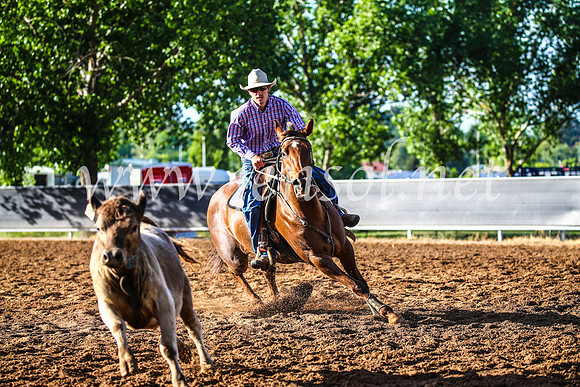 OrangeCampdraft2017_3764