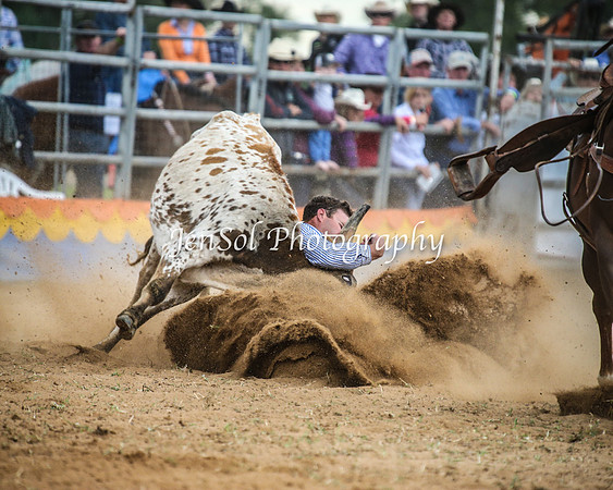 ForbesRodeo2014_0738