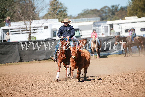 CCCampdraft2016_5945