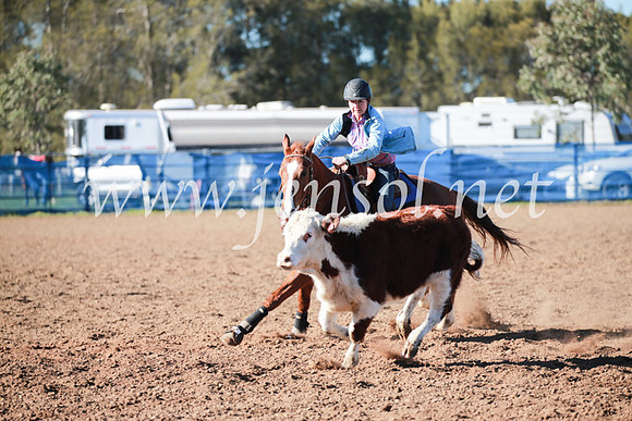CCCampdraft2016_5150