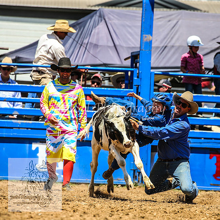 TumbarumbaRodeoNYD2025_0429