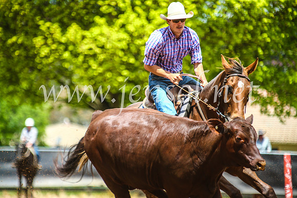 OrangeCampdraft2017_5631